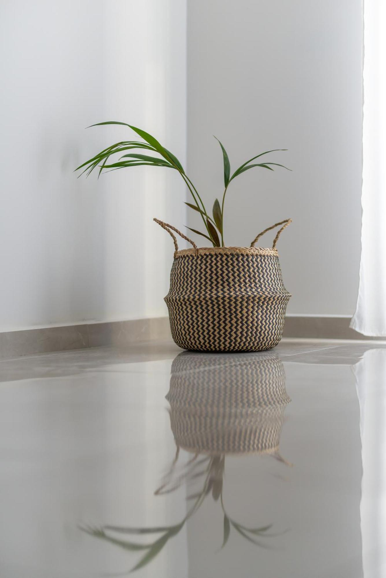 Katerina & Stefanos Family Apartments Archangelos  Ngoại thất bức ảnh
